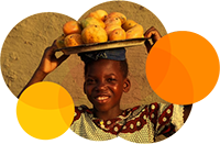 Mango-Frucht aus dem Regenwald West-Afrikas
